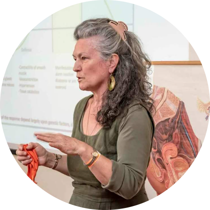 dr. Skultéti Judit képernyőfotó