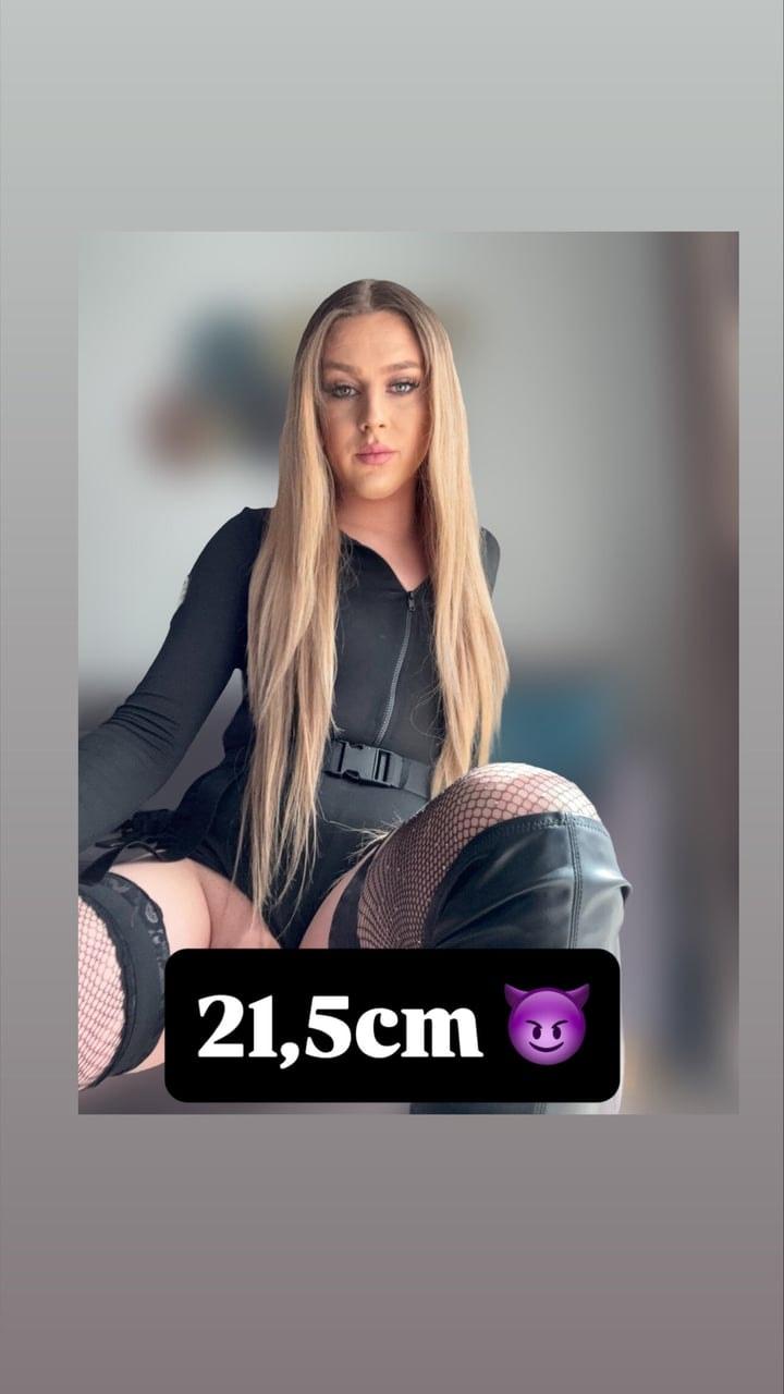 Daja Hungarian TS képernyőfotó