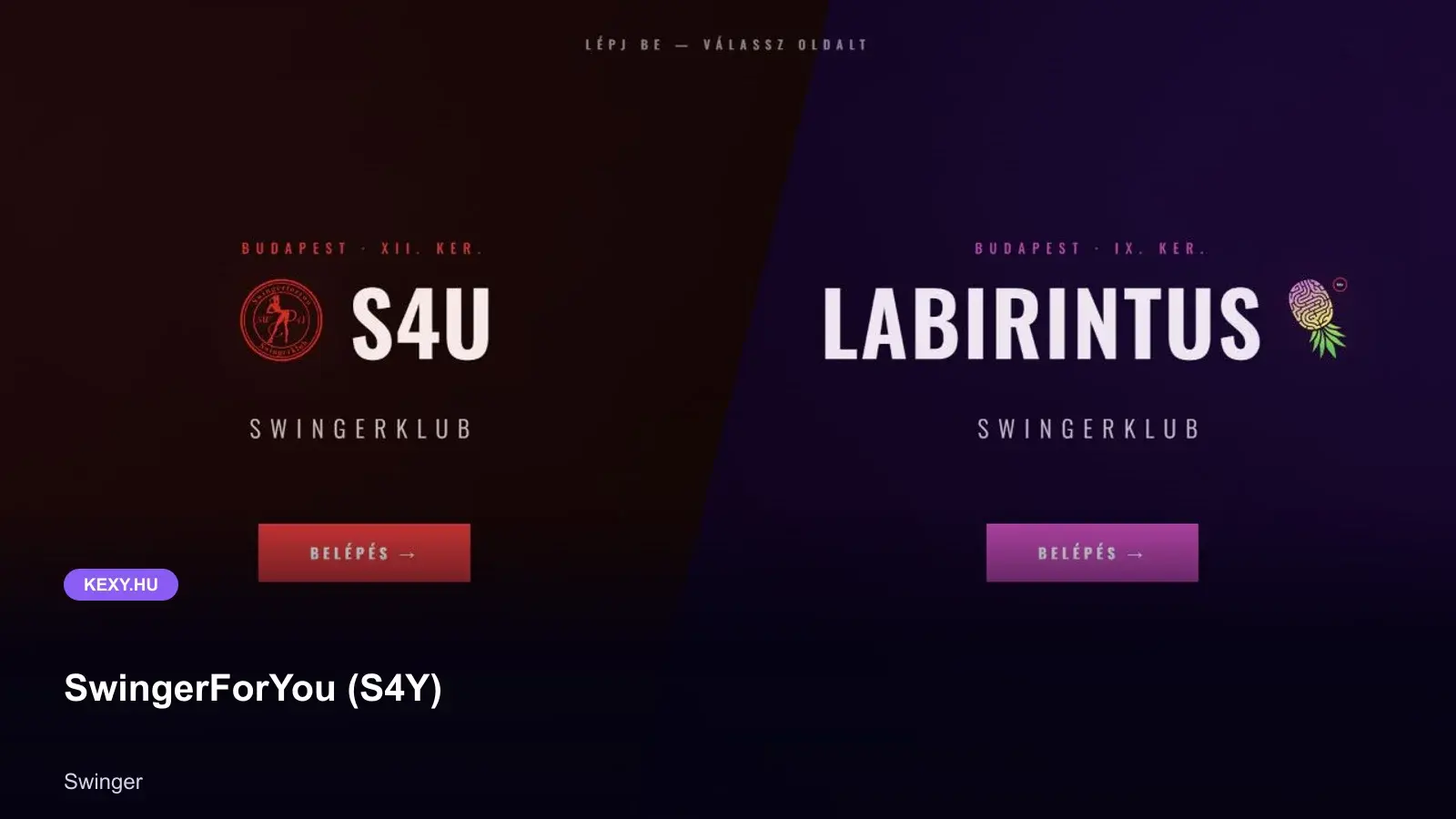 SwingerForYou (S4Y) képernyőfotó